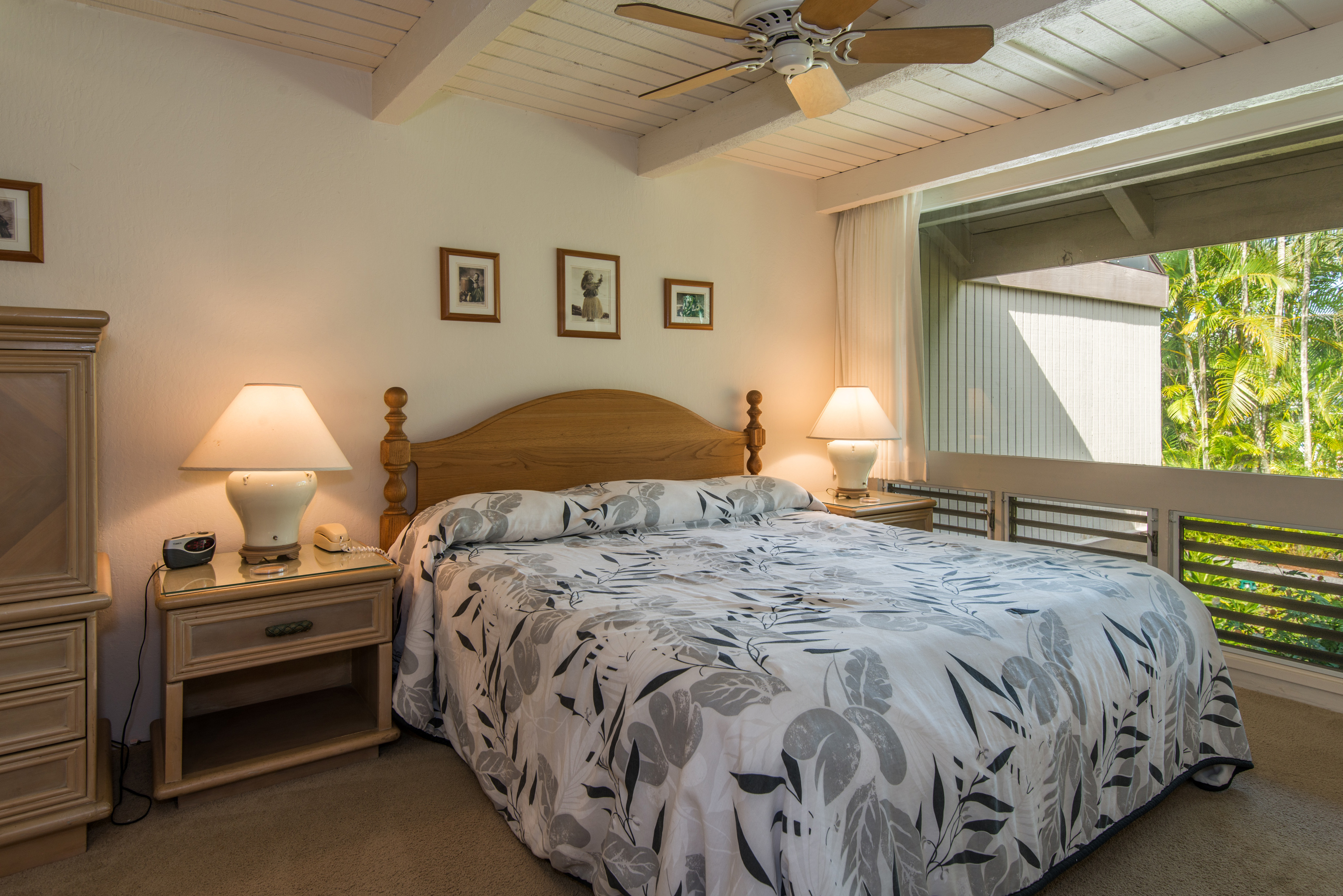 Princeville Condo 983381