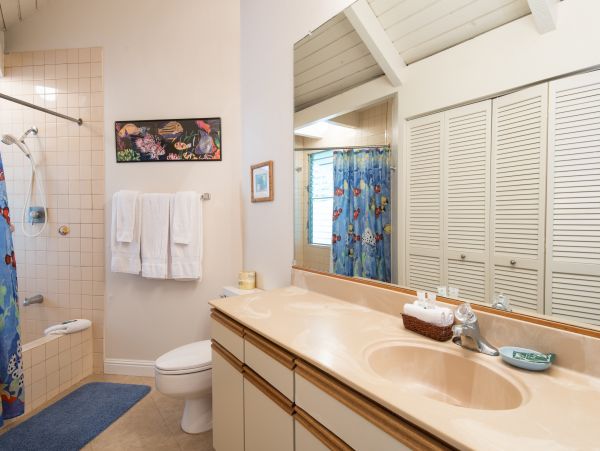 Princeville Condo 983381