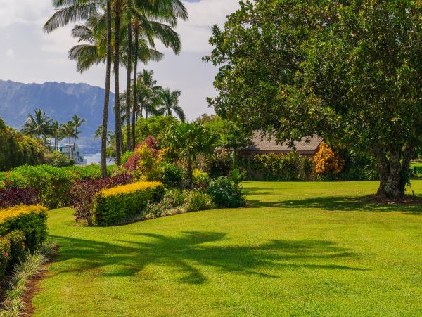 Princeville Condo 983381