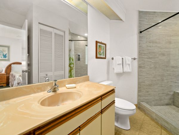 Princeville Condo 983382