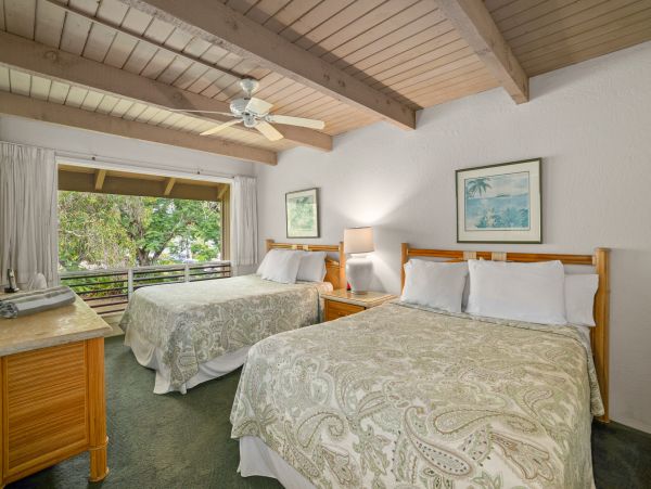 Princeville Condo 983382