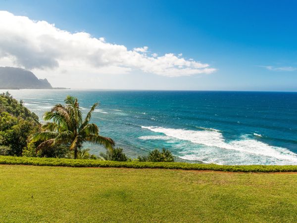 Princeville Condo 983382