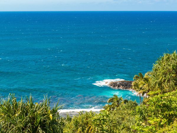 Princeville Condo 983382