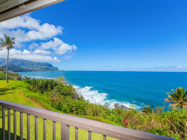 Princeville Condo 983383