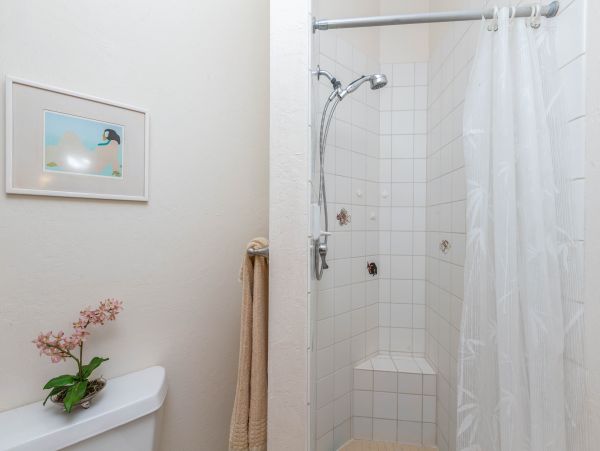 Princeville Condo 983383