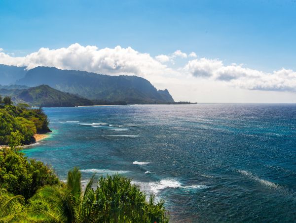 Princeville Condo 983384
