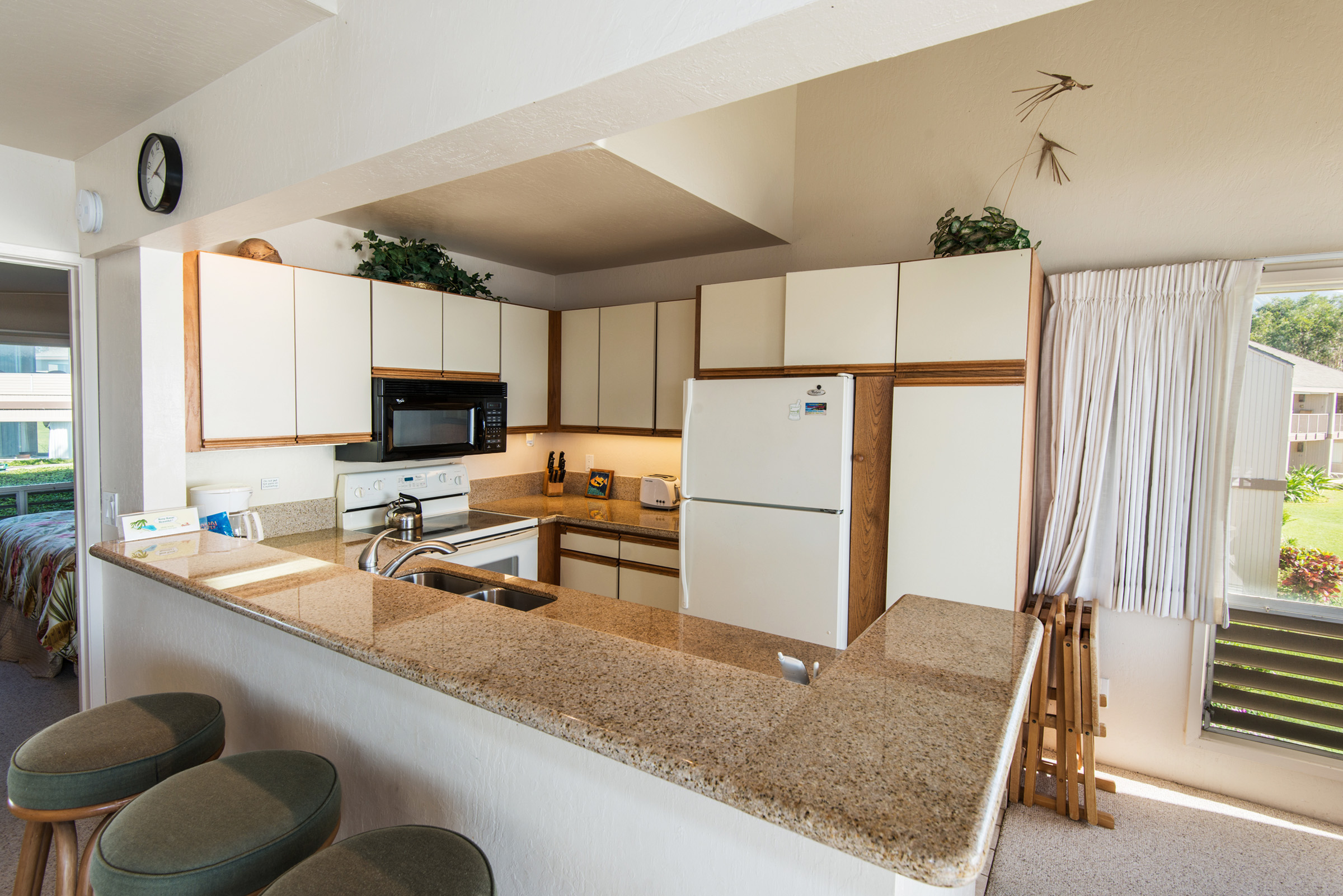 Princeville Condo 983384