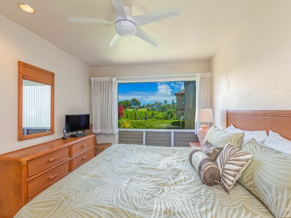 Princeville Condo 983384
