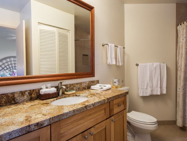 Princeville Condo 983384