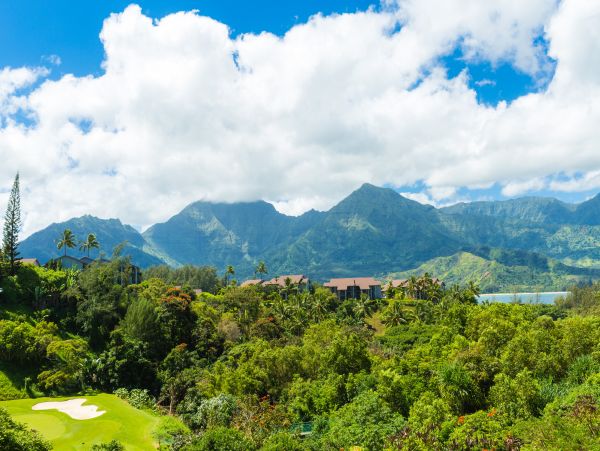 Princeville Condo 983385