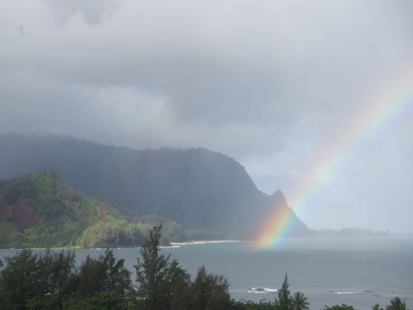 Princeville Condo 983386