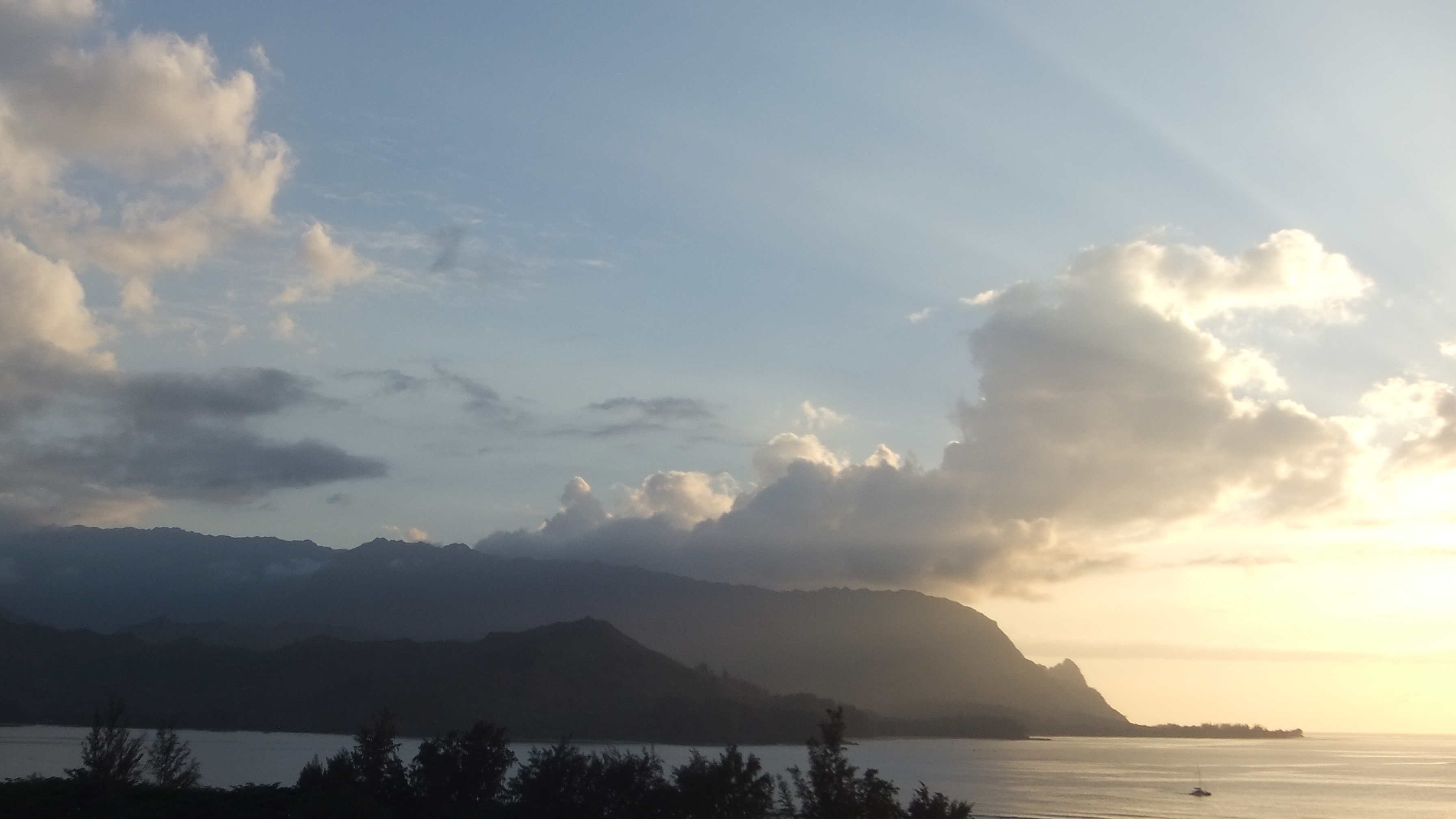 Princeville Condo 983386