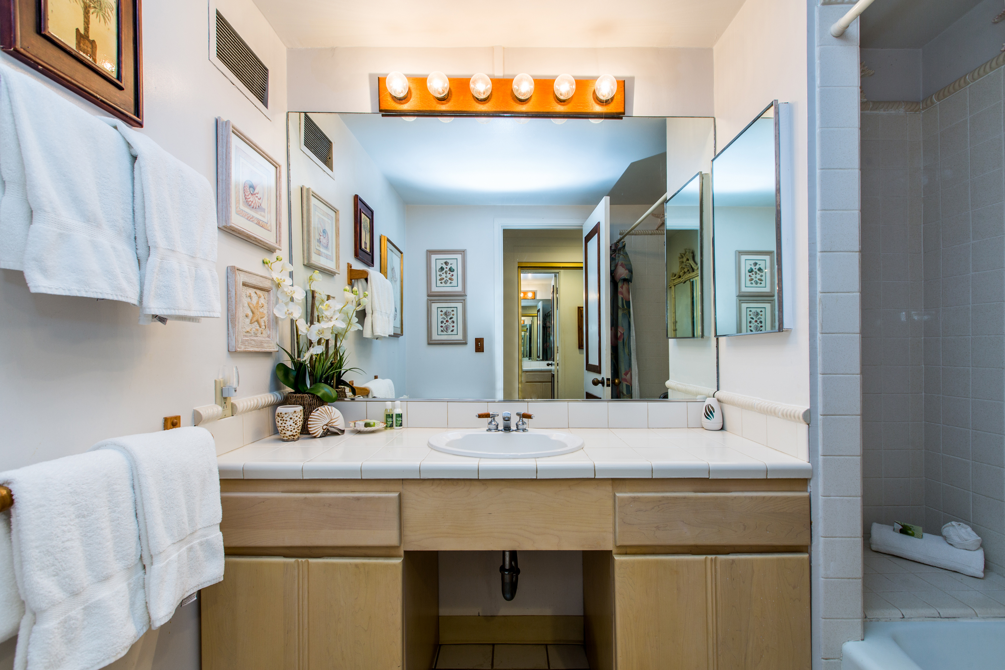 Princeville Condo 983386