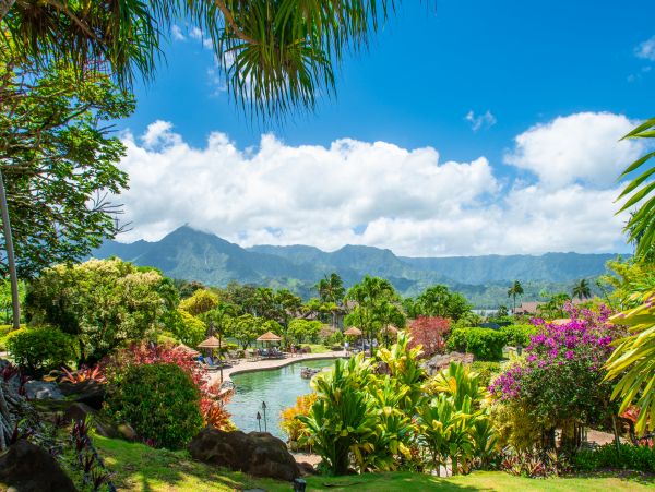 Princeville Condo 983386