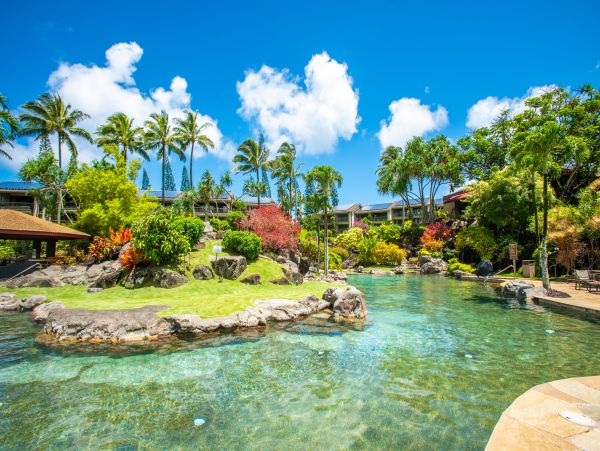 Princeville Condo 983386