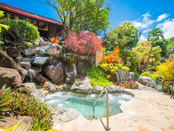 Princeville Condo 983386