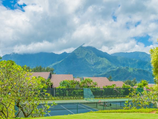 Princeville Condo 983386