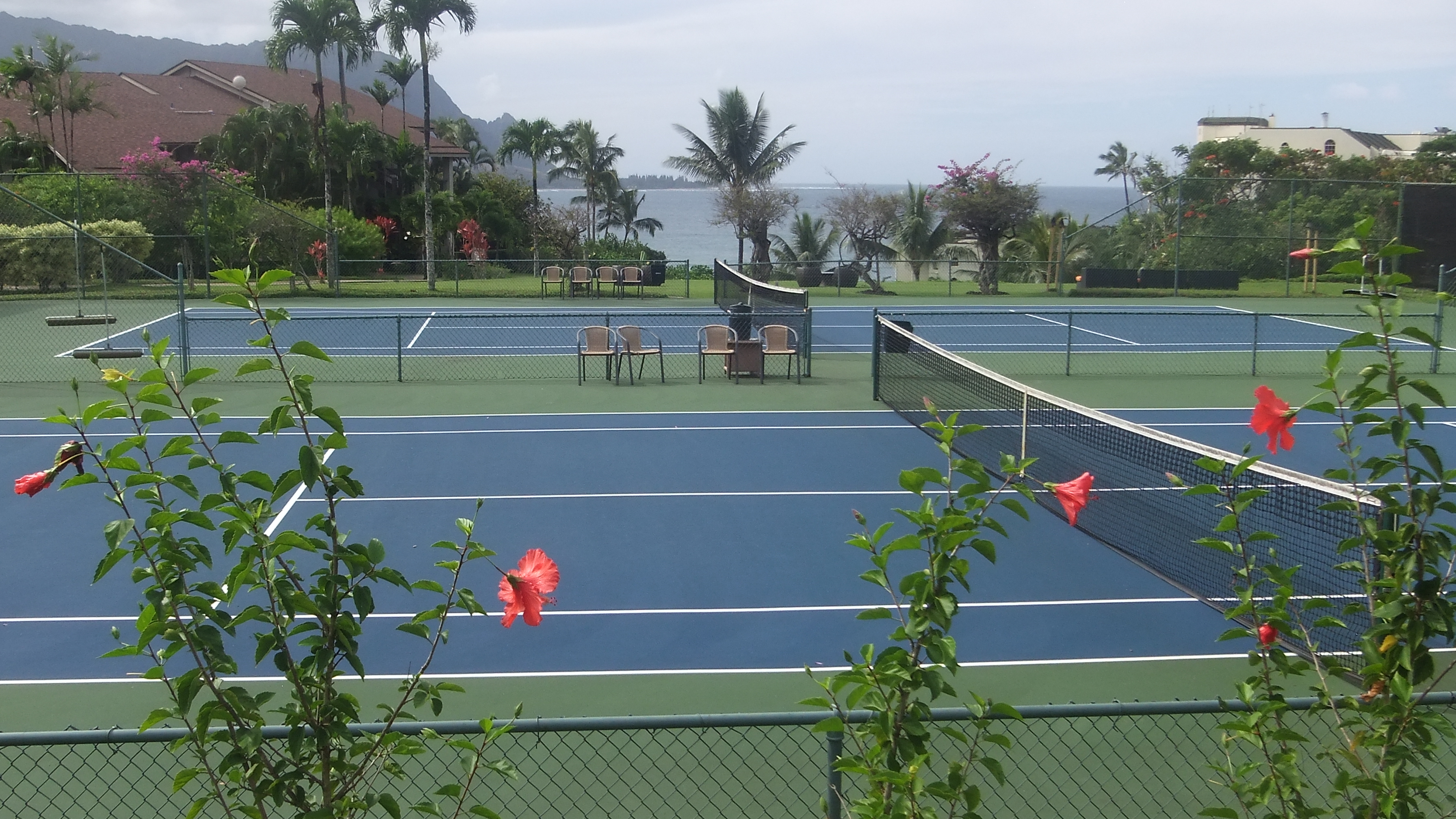 Princeville Condo 983386