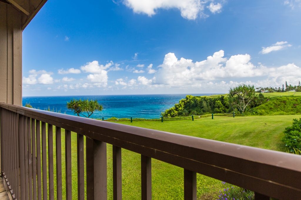 Princeville Condo 983387