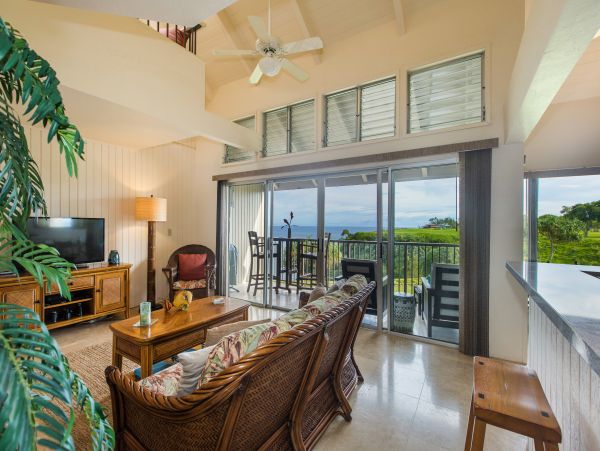 Princeville Condo 983388