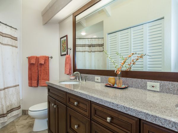 Princeville Condo 983388