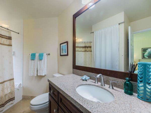 Princeville Condo 983388
