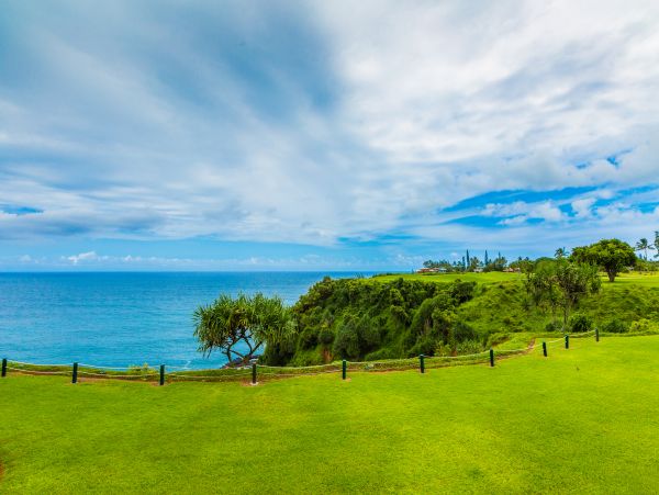 Princeville Condo 983388