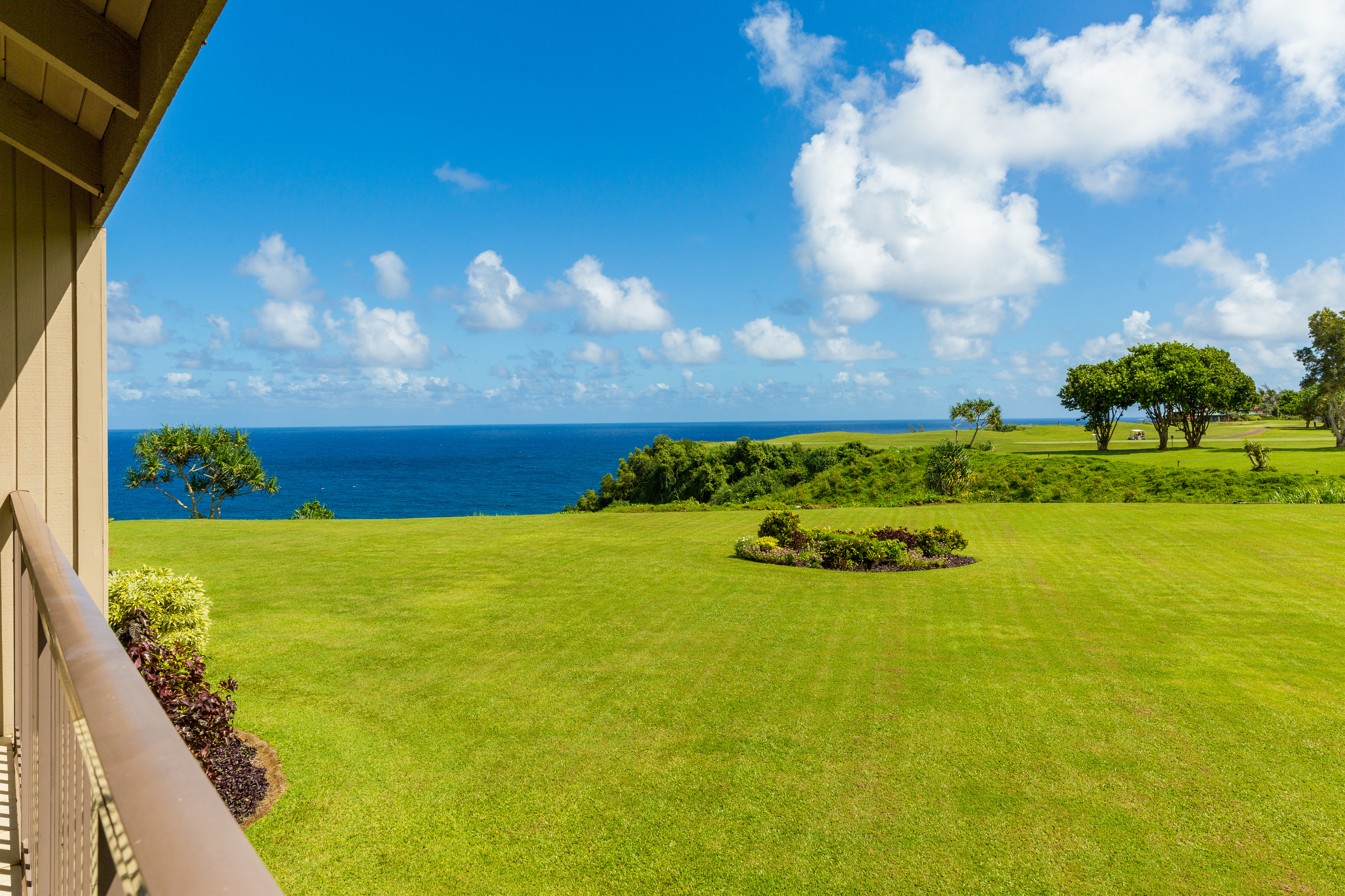 Princeville Condo 983389