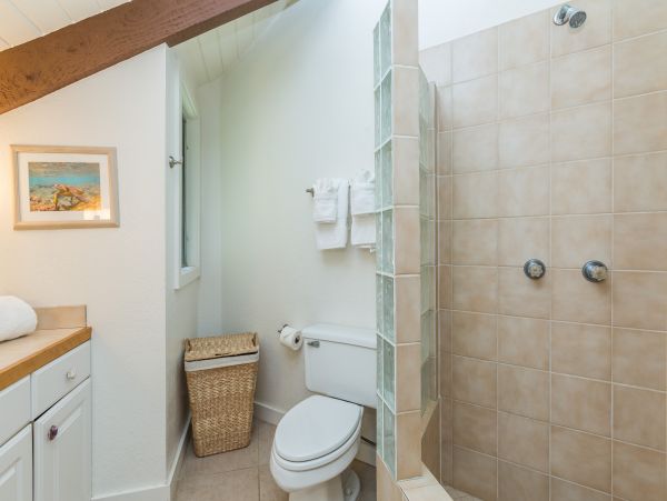 Princeville Condo 983389