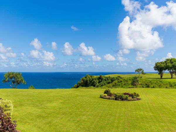 Princeville Condo 983389