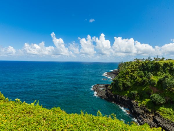 Princeville Condo 983389