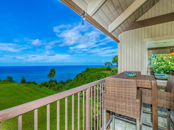 Princeville Condo 983390