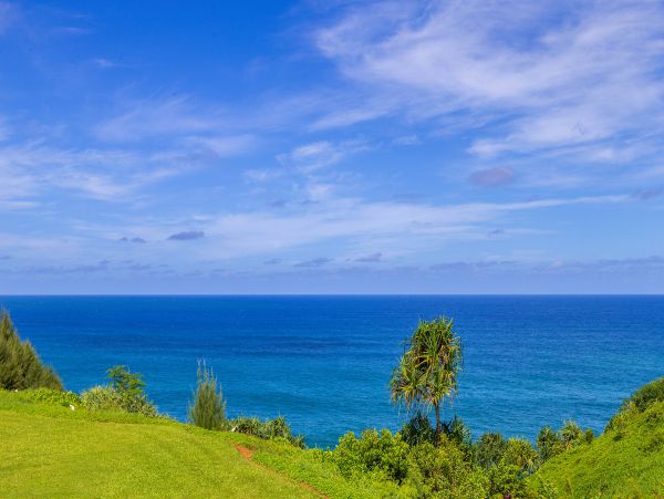 Princeville Condo 983390