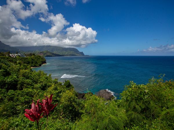 Princeville Condo 983390