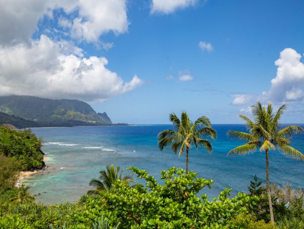 Princeville Condo 983390