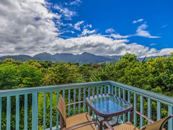 Princeville Condo 983398
