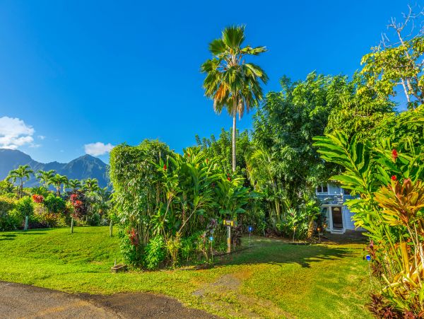 Princeville Condo 983398