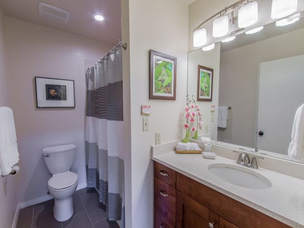 Princeville Condo 983402