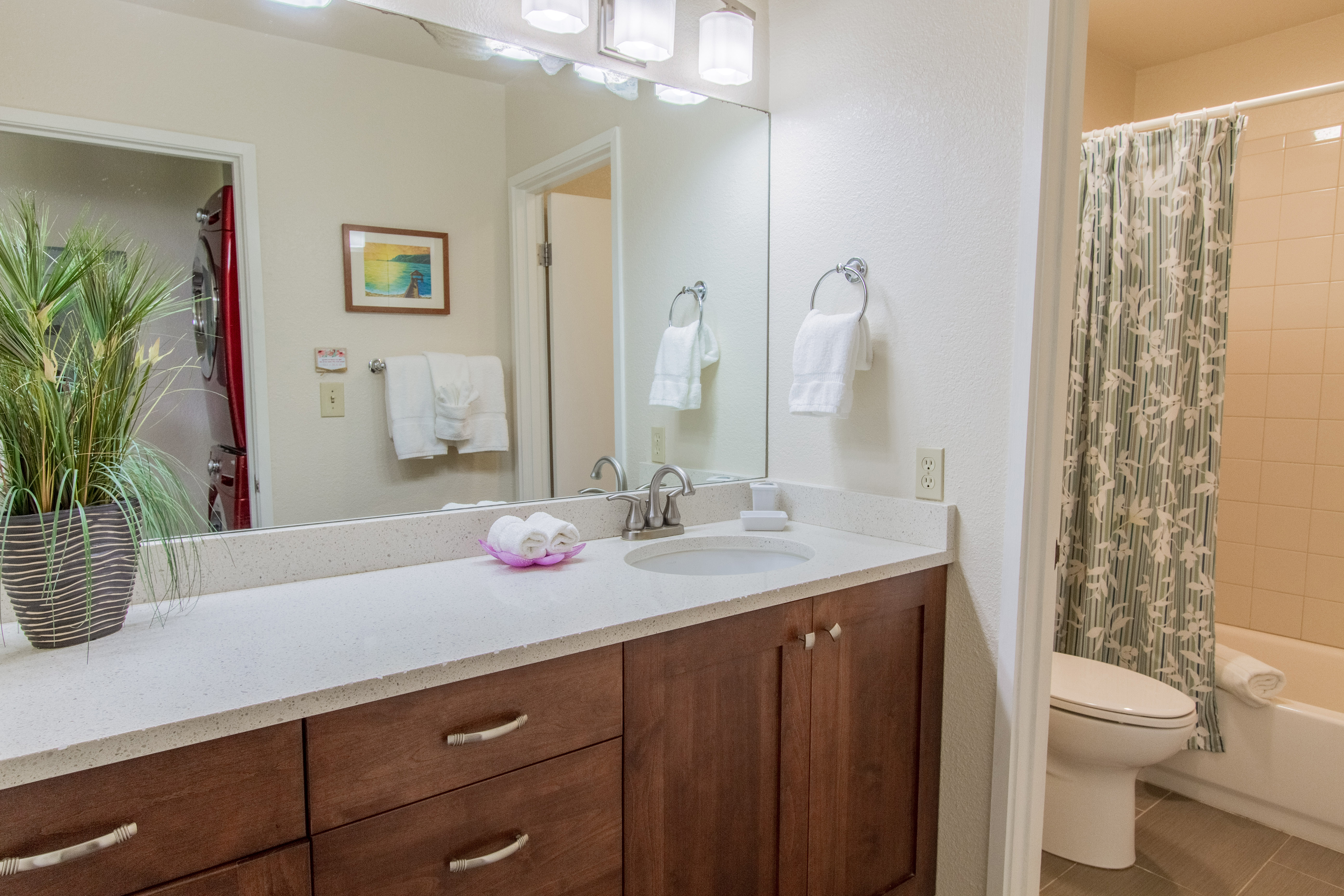 Princeville Condo 983402