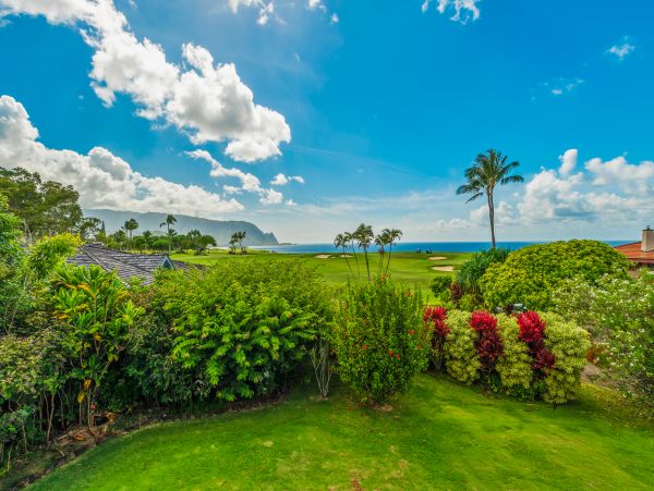 Princeville Home 983403