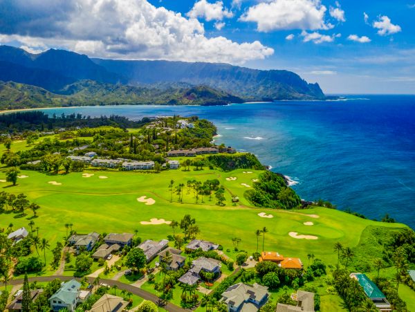 Princeville Home 983403