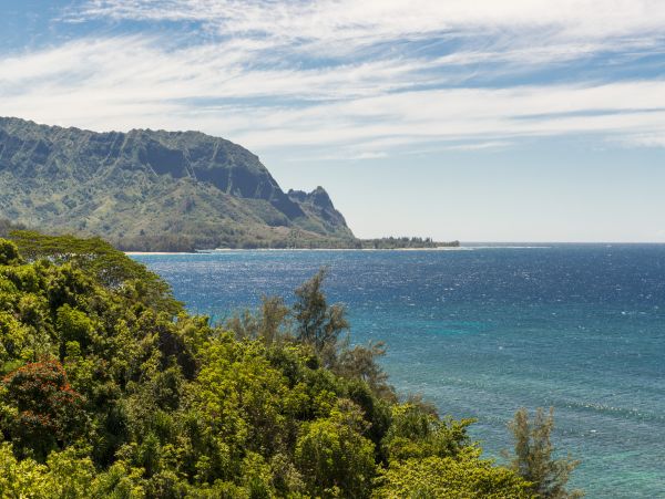 Princeville Condo 983407