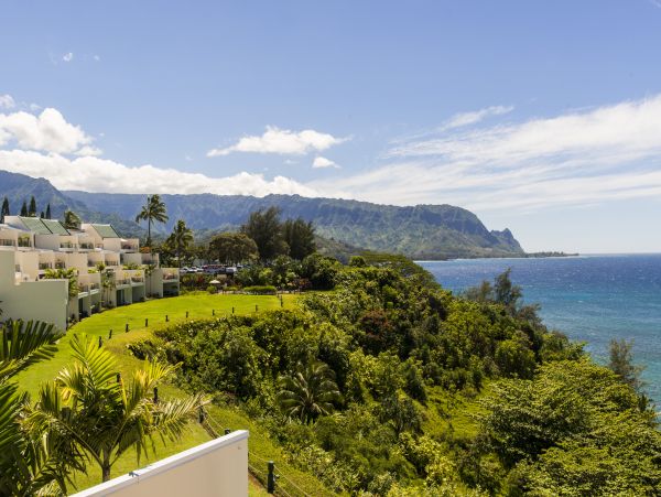 Princeville Condo 983407