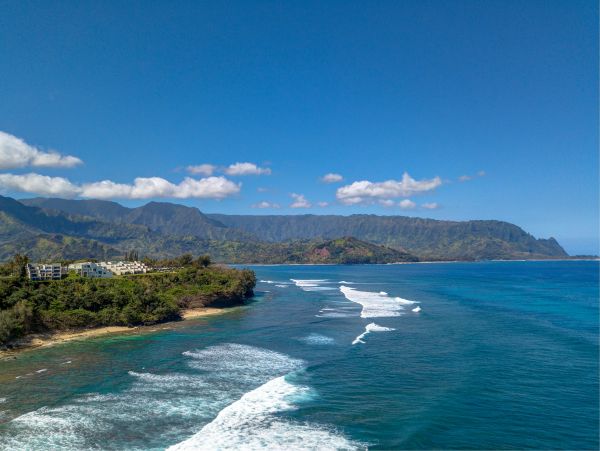 Princeville Condo 983408
