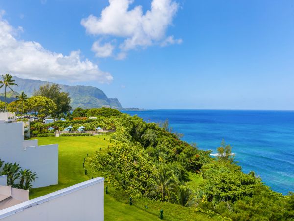 Princeville Condo 983410