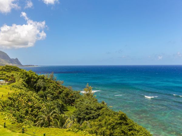 Princeville Condo 983410