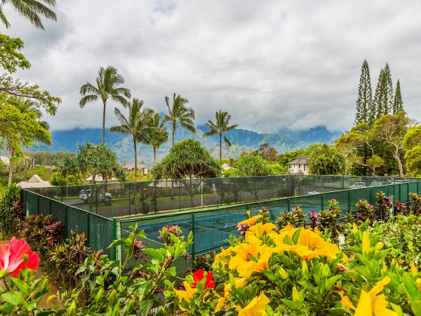 Princeville Condo 983410