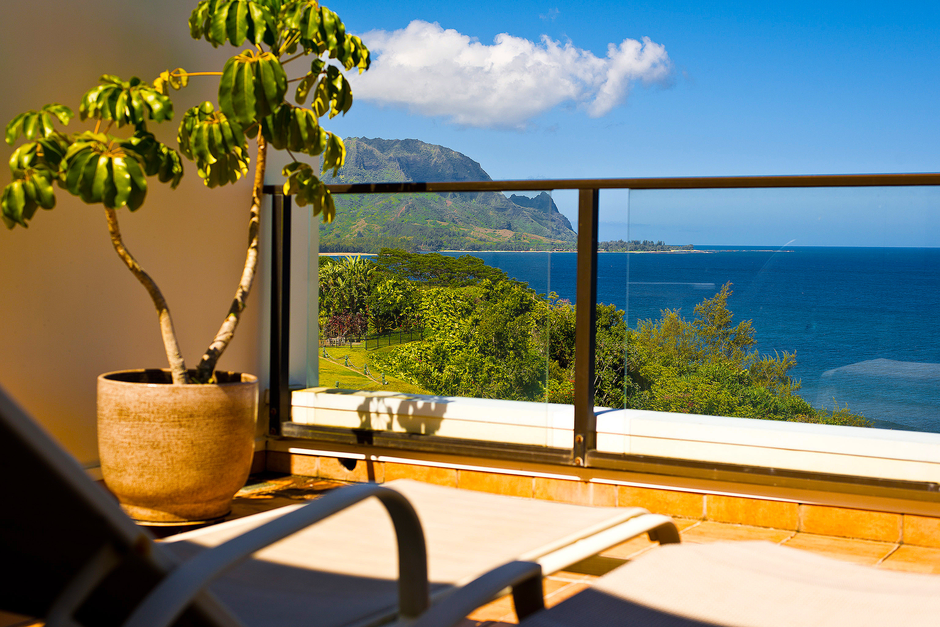 Princeville Condo 983411