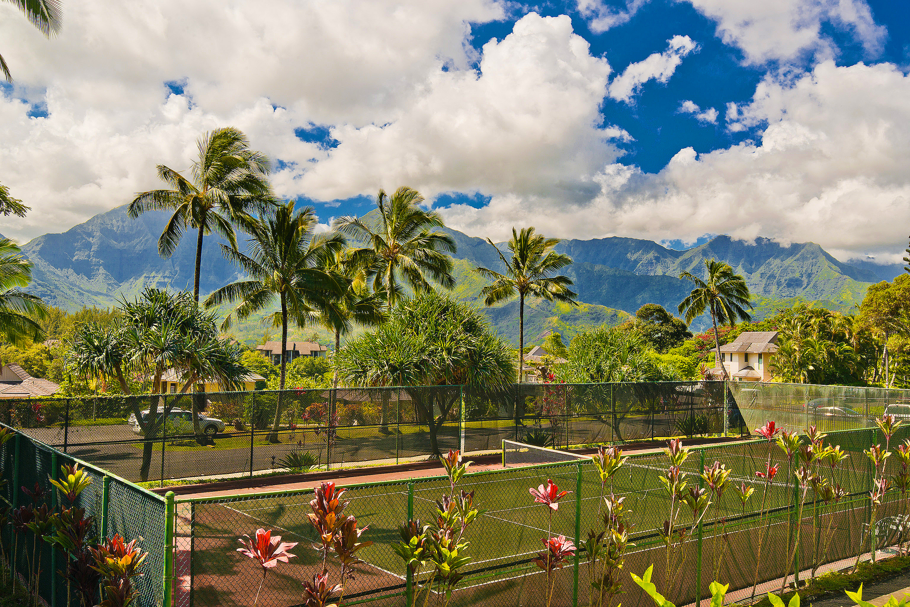 Princeville Condo 983411