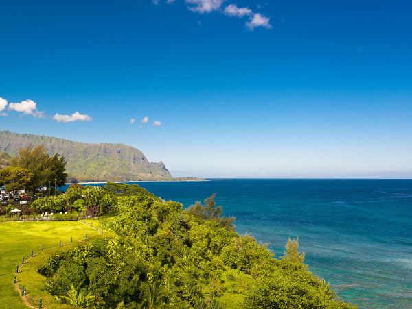 Princeville Condo 983411